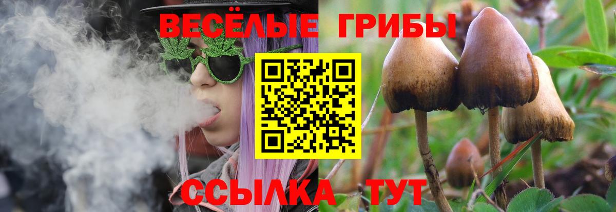 Псилоцибиновые грибы Cubensis  Галлюциногенные грибы MAGIC MUSHROOMS  Арзамас  купить  цена  Вход с VPN 